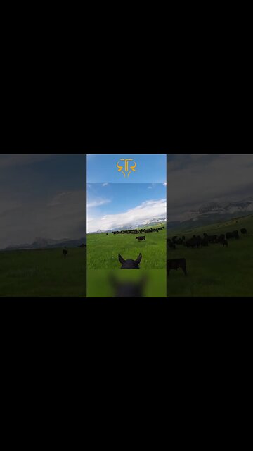 An Amazing View from the Saddle! 🌄🐴