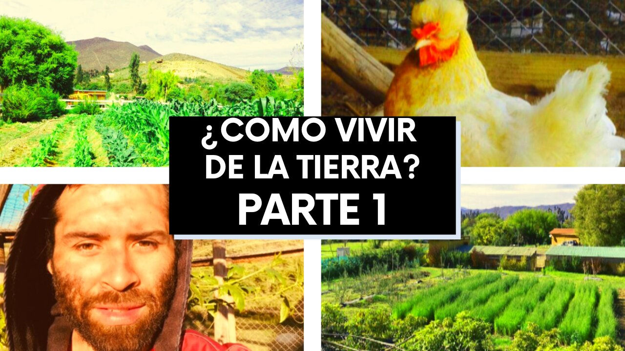 Vivir de la Tierra: Como ganar Dinero y Alimentos con las Gallinas | Permacultura