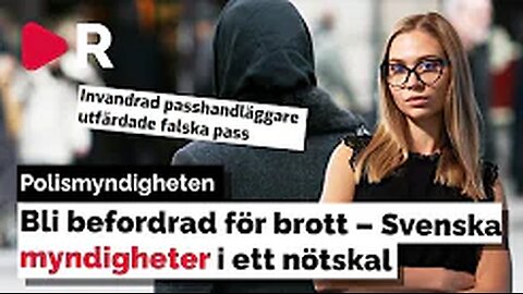 Passbedrägerier
