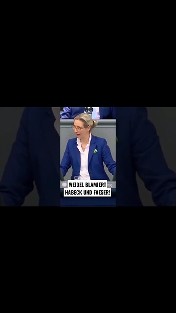 Weidel blamiert Faeser und Habeck #afd #politik #bundestag #shortvideo #weidel #aliceweidel