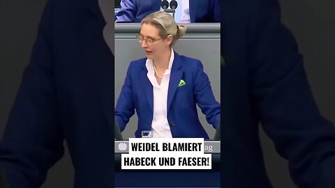 Weidel blamiert Faeser und Habeck #afd #politik #bundestag #shortvideo #weidel #aliceweidel