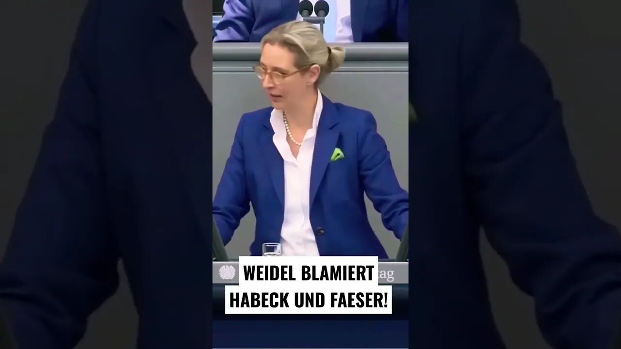 Weidel blamiert Faeser und Habeck #afd #politik #bundestag #shortvideo #weidel #aliceweidel