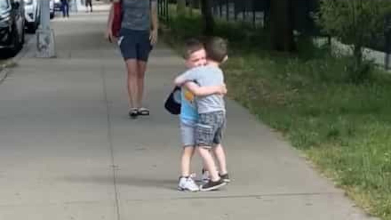 Melhores amigos de 3 anos reunidos após meses em isolamento