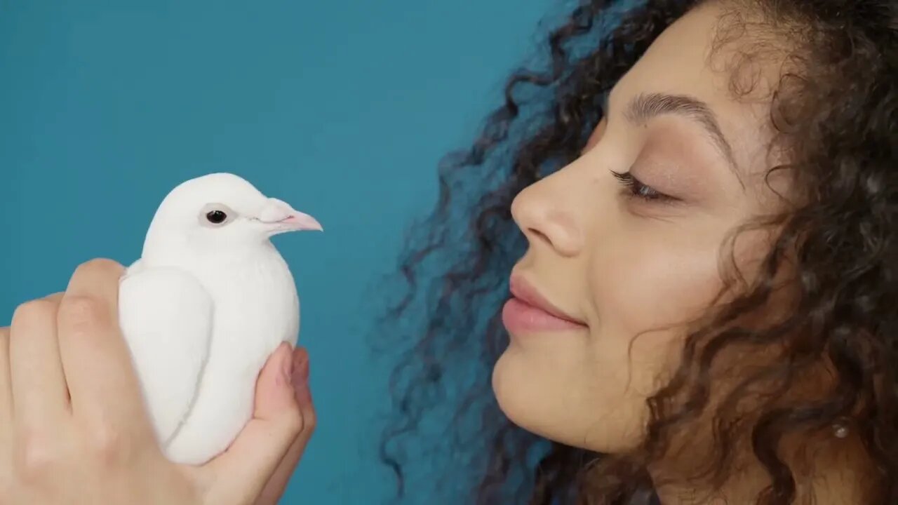 Peace, Love, Dove