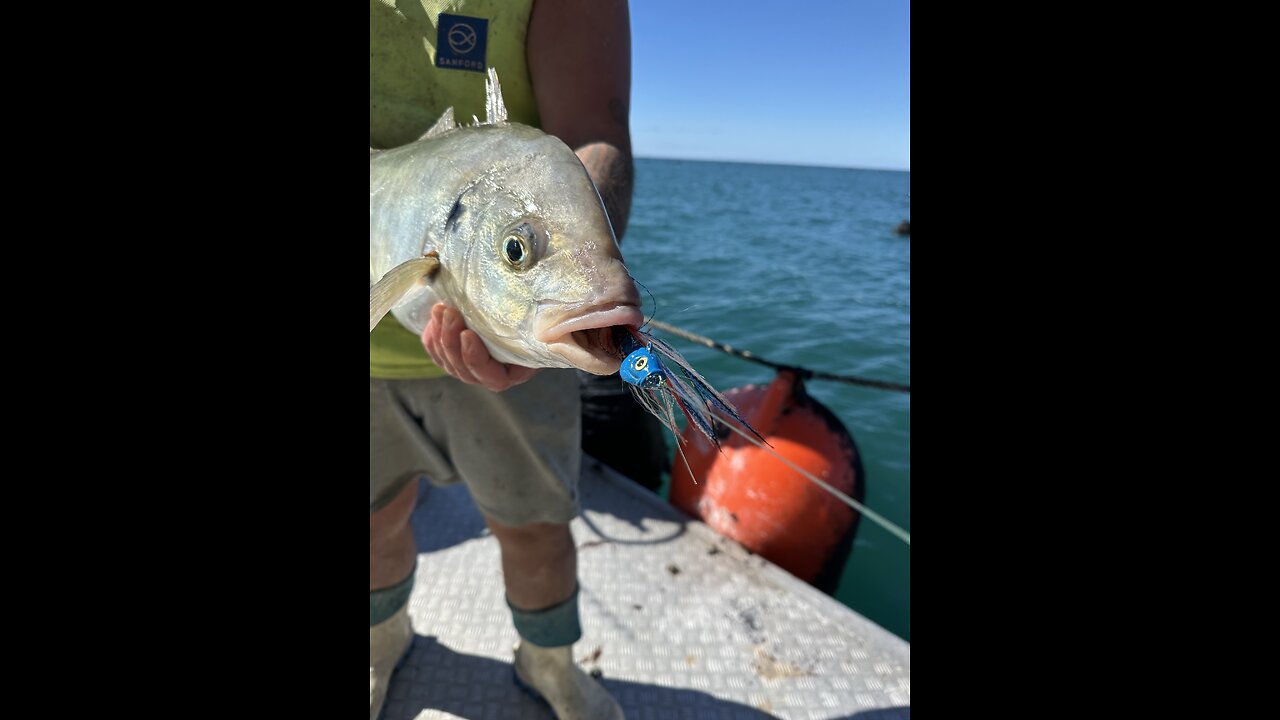 New Zealand snapper and gurnard fishing