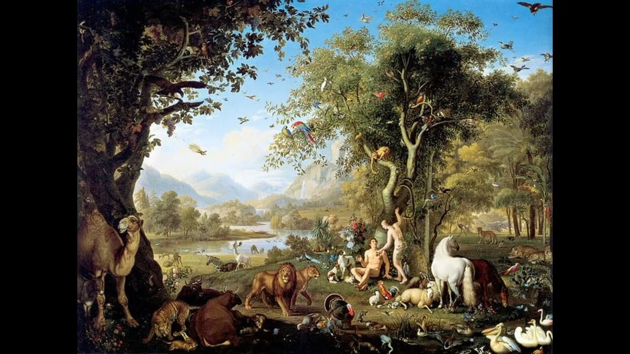 "Is It Lawful?" Is the Wrong Question - Trinity 17 2022