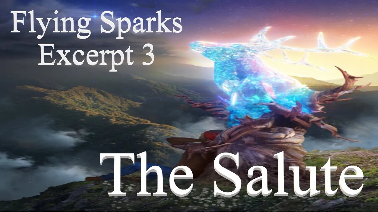 The Salute - Excerpt 3 - Flying Sparks - A Novel – From One Soldier to Another Across Worlds