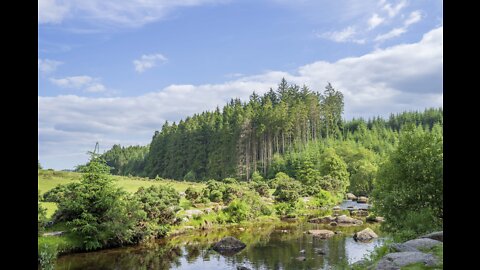 Hiking through Belever forest. Dartmoor. GoPro speedlapse
