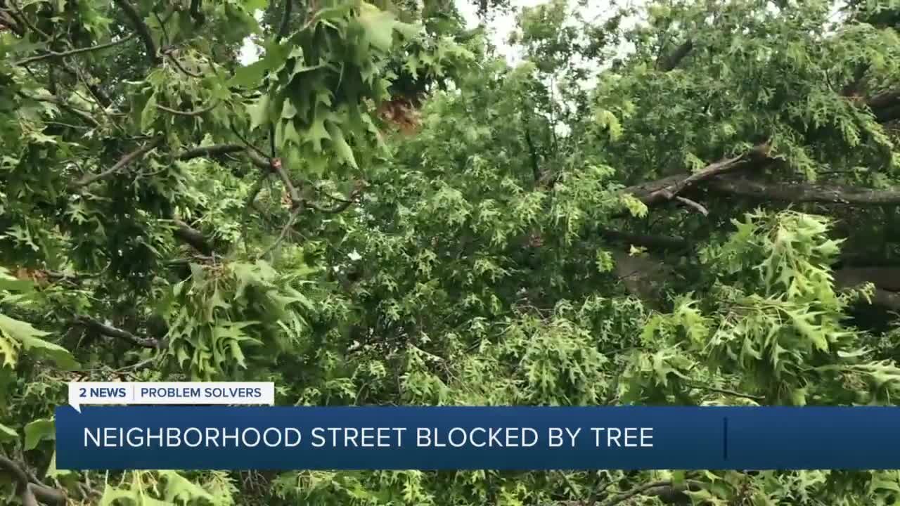 Tree Blocks Road