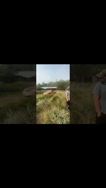 Austin when he sees a chick #shorts