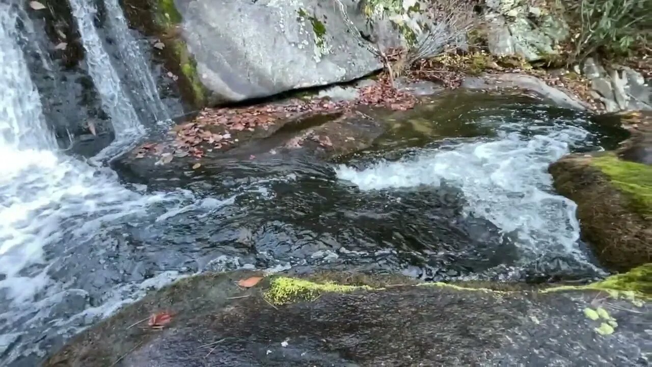 Autumn is Calling in the Mountains