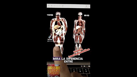 DIFRENCIA DE UN CUERPO OBESO Y UNO QUE ESTA DELGADO