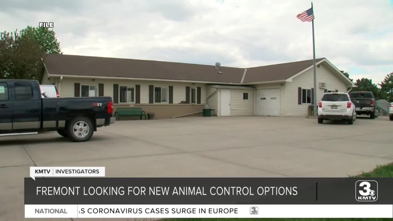 Fremont looks for new animal control providers after investigation of Dodge County Humane Society