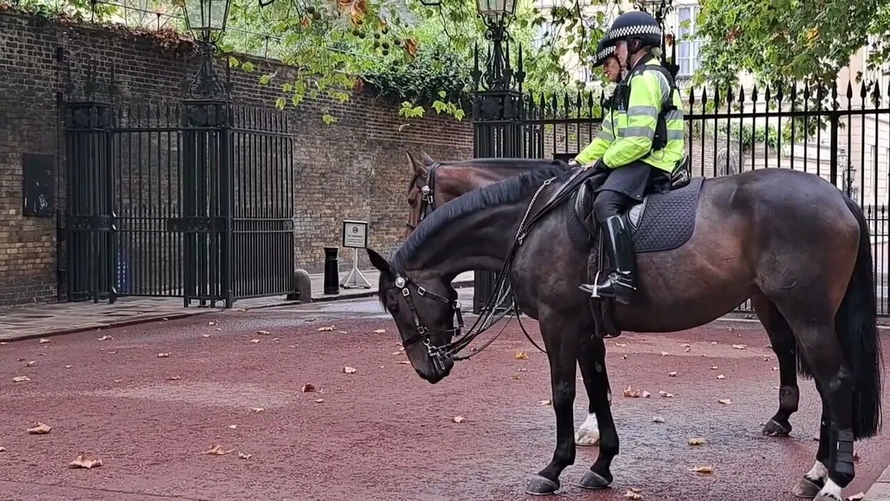 Kings gurds leaving Clarence House with police Escort 23 September 2022 #buckinghampalace