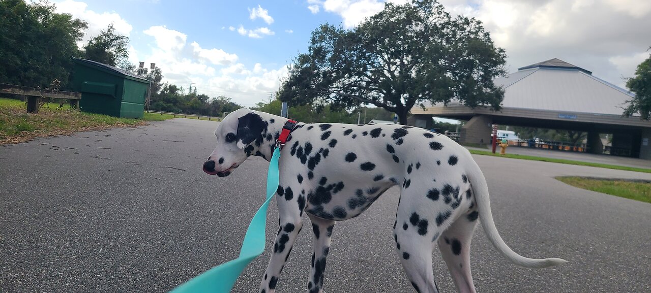 Luna at Merritt Island Rotary Park