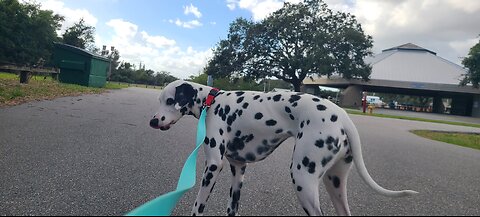 Luna at Merritt Island Rotary Park