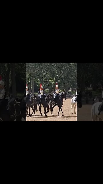 Blues and royals return to horse guards #horseguardsparade