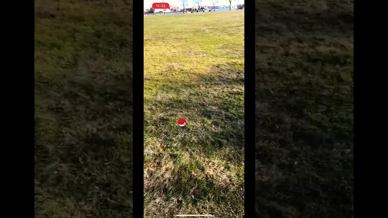 Pokémon Go at the Park