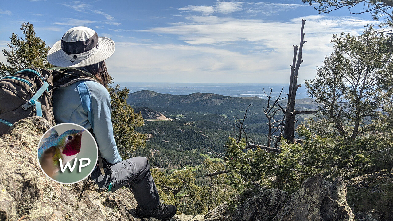 Meyer Ranch Park, Conifer, near Denver, Colorado