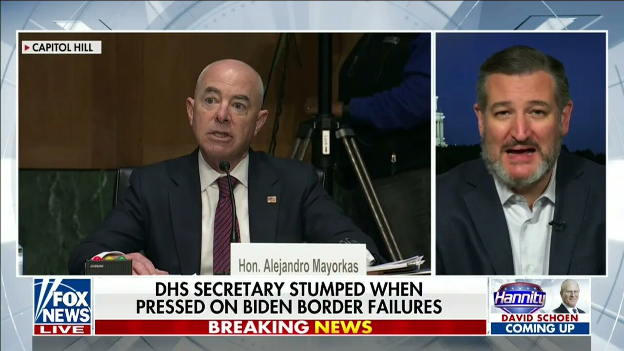 Sen. Cruz: Most 'Pitiful Part' of Mayorkas' Testimony is That Biden Border Crisis is No Accident