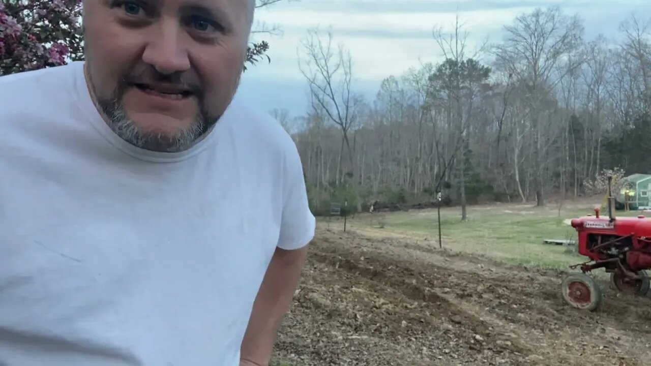 Will This 1948 Cub Plow Up The Garden. Watch And See. Cub Plowing. #garden #farming