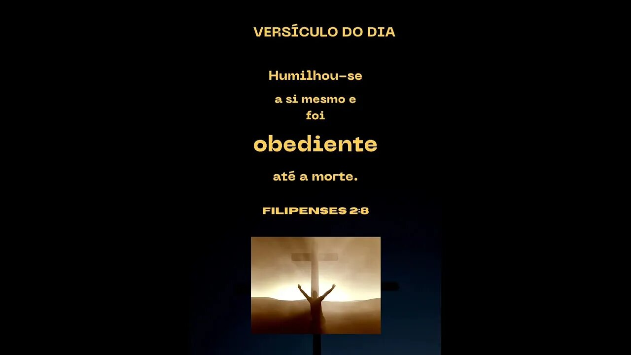 VERSÍCULO DO DIA 15/11/2022.#shorts.