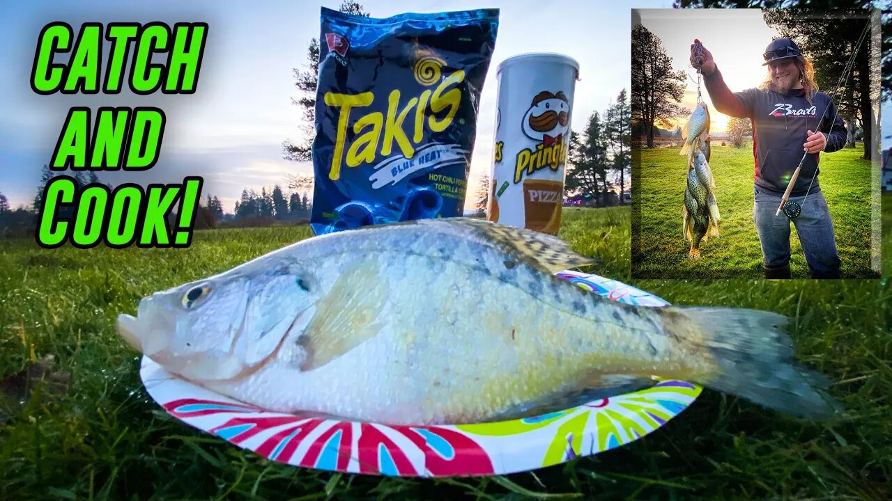 FLY vs SPIN Crappie Fishing TAKIS Catch N' COOK! (SURPRISING Results)