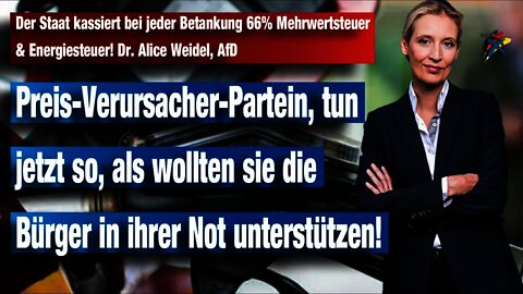 Der Staat kassiert bei jeder Betankung 66% Mehrwertsteuer & Energiesteuer! Dr. Alice Weidel, AfD