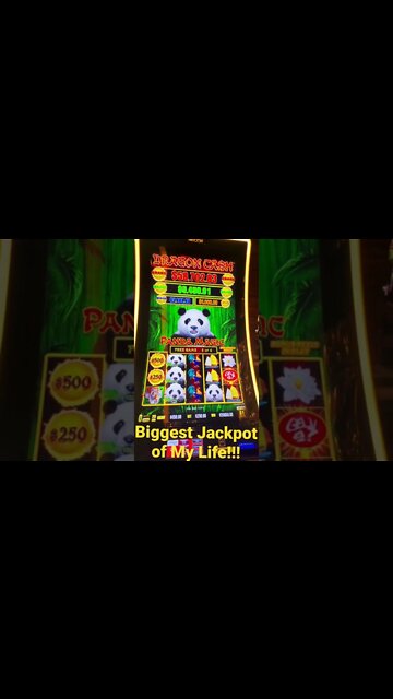 The Biggest Jackpot Of My Life! #mrhandpay #handpay #jackpot #maxbetjackpot #shorts #dragonlink