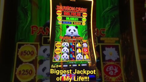 The Biggest Jackpot Of My Life! #mrhandpay #handpay #jackpot #maxbetjackpot #shorts #dragonlink