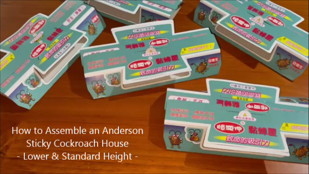 How to Assemble an Anderson Sticky Cockroach House - Lower & Standard Height