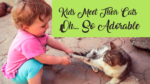 Cats + Babies = Funniest Moments ever