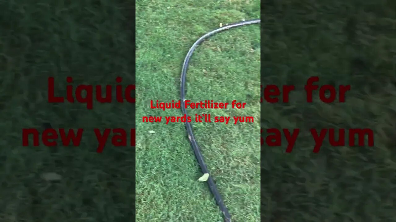 #lawn #viral #shorts #mowing #grass #bermuda #lawncare #home #home #tahoma #dog #sod #fertilizer #it