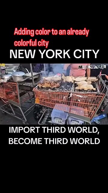 New York city what is this?