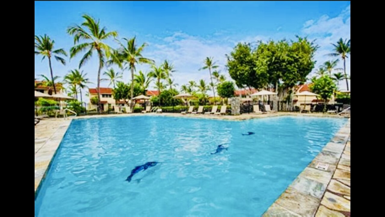 You’ll Never Find Another Hawaiian House Like This!