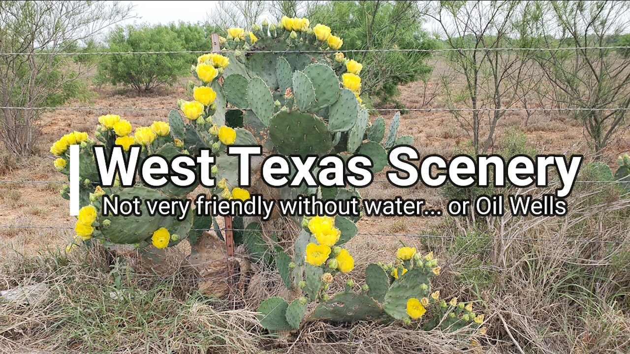 West Texas Scenery - Cacti, Water and Oil Wells