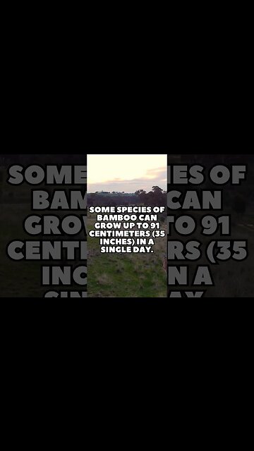 Incredible Random Facts That Will Expand Your Mind! [2023] #shorts #facts #viralshorts #fyp #life