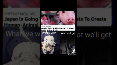 What could go wrong? #vtuber #meme #memes