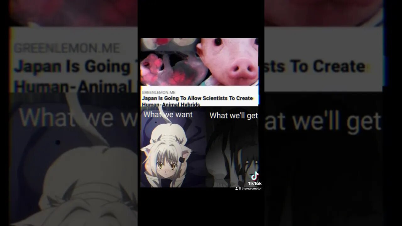 What could go wrong? #vtuber #meme #memes