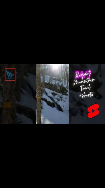 Rogart Mountain Trail #shorts