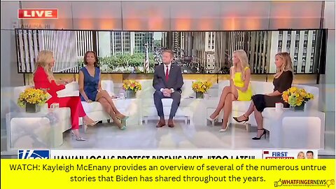 WATCH: Kayleigh McEnany provides an overview of several of the numerous untrue stories