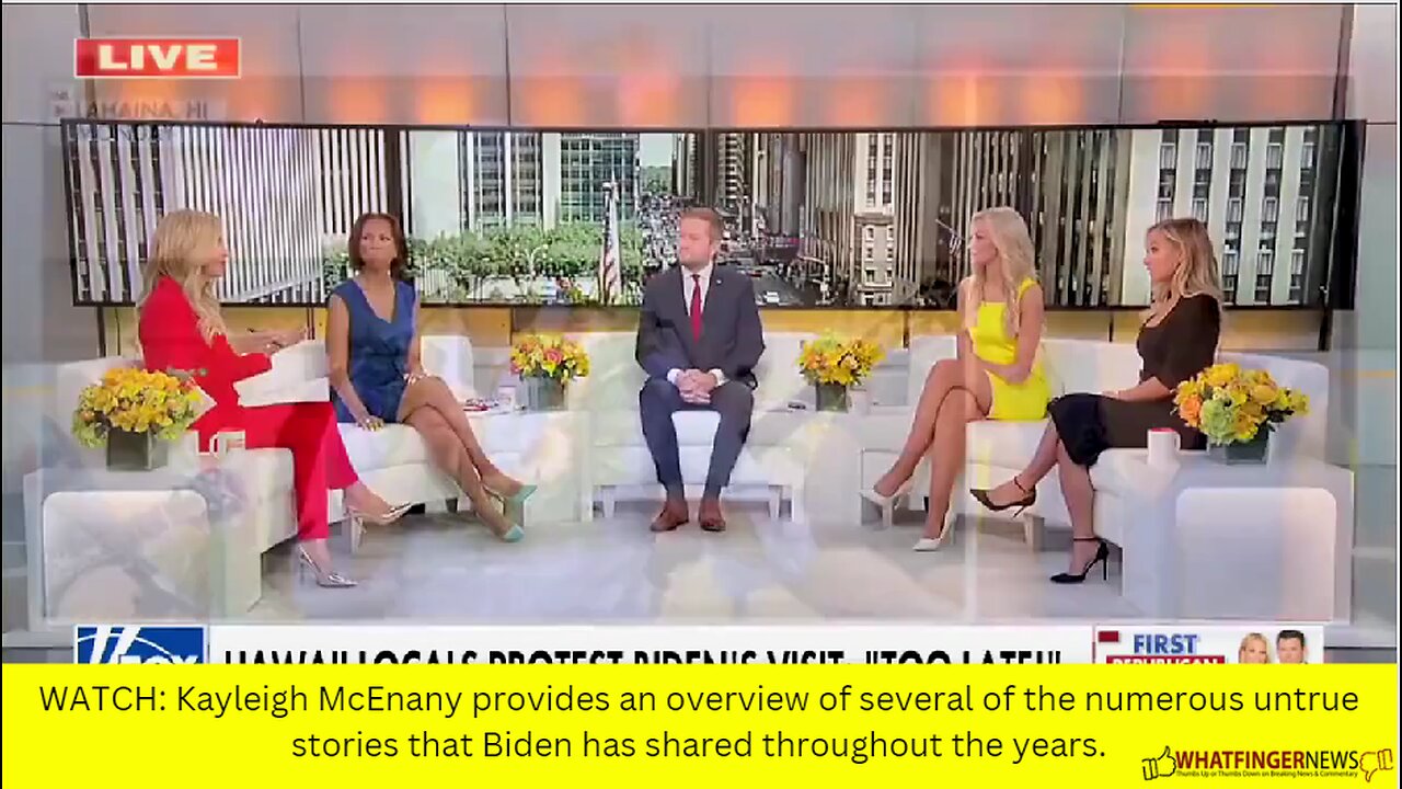 WATCH: Kayleigh McEnany provides an overview of several of the numerous untrue stories