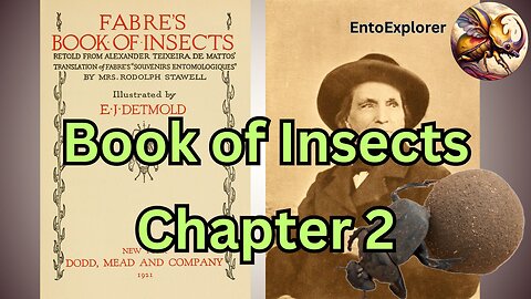 Book of Insects - Chapter 2 The Sacred Beetle - by Jean-Henri Fabre