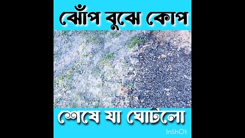 ঝোপ বুঝি কোপ মারো