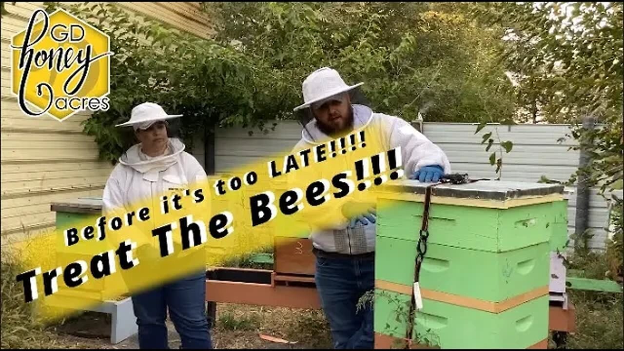 Treat The Bees!!!! Before it is TOO LATE!!!!!