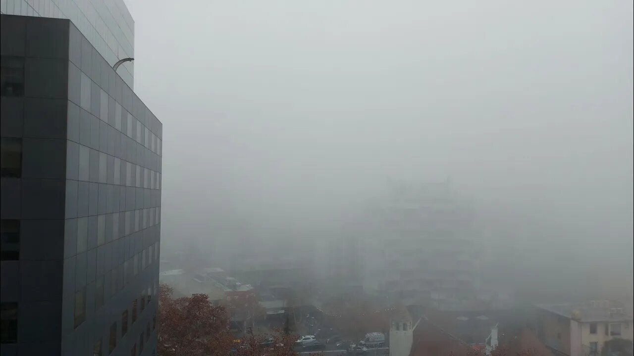 DARK WINTER....will be...."people dropping like flies....left and right !"