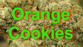 Orange Cookies