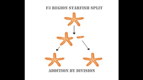 F3 Accelerator : Region Starfish Splitting