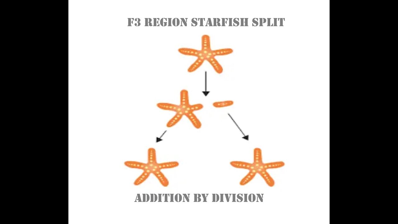 F3 Accelerator : Region Starfish Splitting