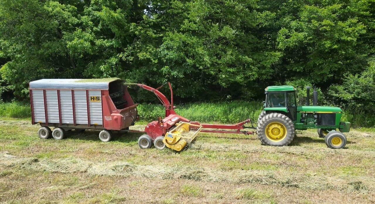 Chopping 1st Cutting Alfalfa